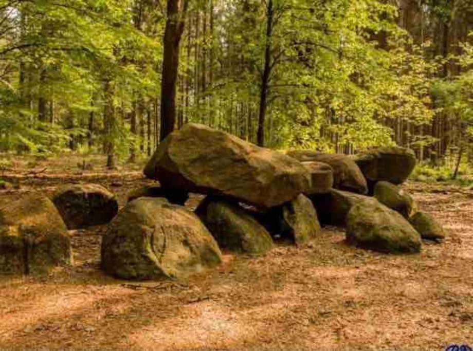 Chalet Midden In De Natuur! Anloo Kültér fotó